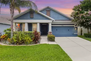 13352 Palmera Vista Dr, Riverview, FL 33579 - Photo 1