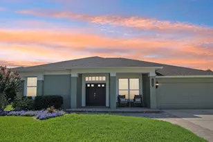 25950 Risen Star Dr, Wesley Chapel, FL 33544 - Photo 1