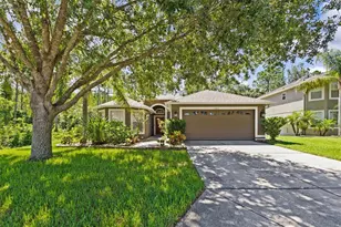 12412 Southbridge Terrace, Hudson, FL 34669 - Photo 1