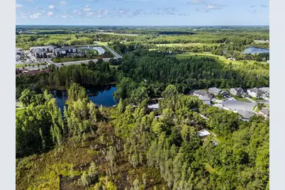 20007 Betel Palm Lane, Land O Lakes, FL 34638 - Photo 1