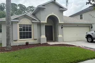 4835 Barchetta Dr, Land O Lakes, FL 34639 - Photo 1