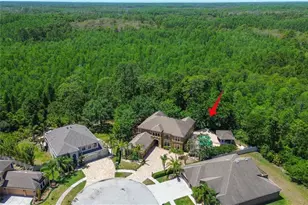 14809 Ninebark Ct, Land O Lakes, FL 34638 - Photo 1