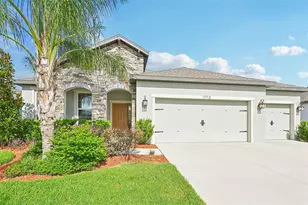 11713 Tetrafin Dr, Riverview, FL 33579 - Photo 1