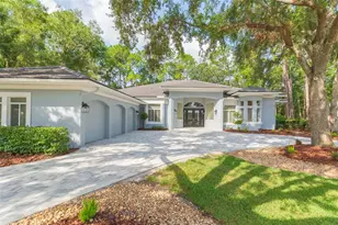 6417 Renwick Cir, Tampa, FL 33647 - Photo 1