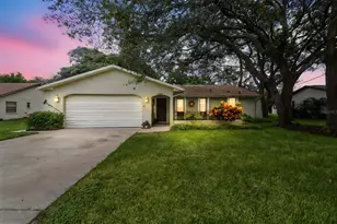 2406 Gallagher Ave, Spring Hill, FL 34606 - Photo 1