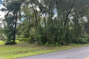 6585 E Waverly St, Inverness, FL 34452 - Photo 1