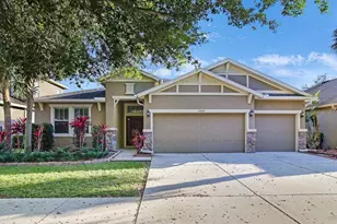 15604 Starling Water Dr, Lithia, FL 33547 - Photo 1