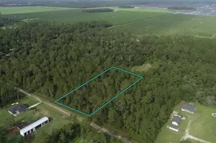 10325 Gregory Ave, Hastings, FL 32145 - Photo 1