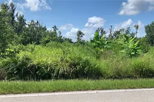 0 Sink Hole Rd, Bartow, FL 33830 - Photo 1