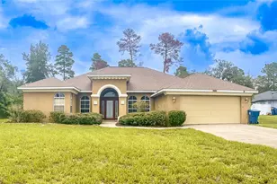 7243 Bahama Swallow Ave, Weeki Wachee, FL 34613 - Photo 1