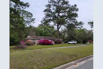 356 Evergreen Lane, Middleburg, FL 32068 - Photo 1