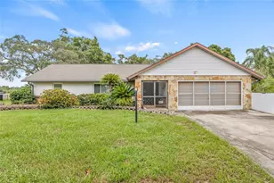 4531 Mohican Trail, Valrico, FL 33594 - Photo 1