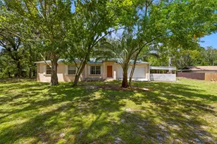 26831 Chianina Dr, Wesley Chapel, FL 33544 - Photo 1