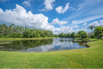 19443 Everton Place, Land O Lakes, FL 34638 - Photo 1