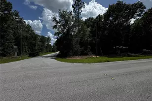 SW 54th St, Dunnellon, FL 34431 - Photo 1