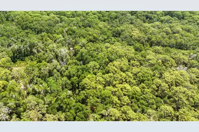 00 134th Court, Weirsdale, FL 32195 - Photo 1