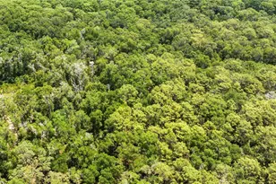 00 134th Ct, Weirsdale, FL 32195 - Photo 1