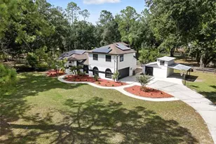 26019 Balsawood Ct, Wesley Chapel, FL 33544 - Photo 1