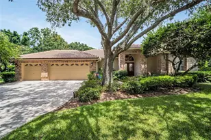 4973 Turtle Creek Trail, Oldsmar, FL 34677 - Photo 1