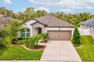 12925 Satin Lily Dr, Riverview, FL 33579 - Photo 1