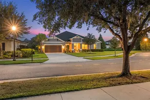 33536 Willow Point Ct, Wesley Chapel, FL 33545 - Photo 1