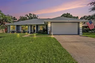 15146 Springview St, Tampa, FL 33624 - Photo 1