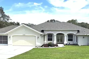 17640 Dansville Dr, Spring Hill, FL 34610 - Photo 1