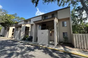 7505 Pitch Pine Cir, Tampa, FL 33617 - Photo 1