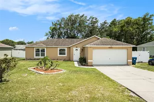 10352 Lansfield St, Spring Hill, FL 34608 - Photo 1