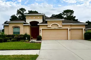 10310 Holland Rd, Riverview, FL 33578 - Photo 1