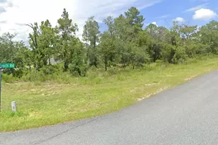 000 House Finch Rd, Weeki Wachee, FL 34614 - Photo 1