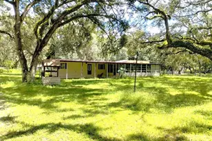 34125 Chancey Rd, Wesley Chapel, FL 33543 - Photo 1