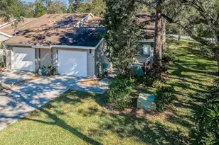 4399 Brooker Creek Dr, Palm Harbor, FL 34685 - Photo 1