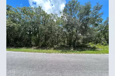 0 Malauka Radial, Ocklawaha, FL 32179 - Photo 1