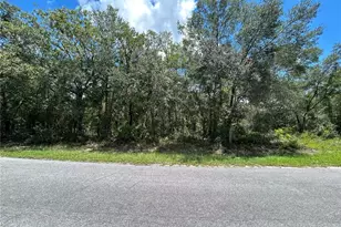 0 Malauka Radial, Ocklawaha, FL 32179 - Photo 1