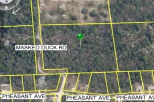 Masked Duck Rd, Brooksville, FL 34614 - Photo 1