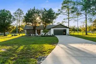 14335 Hammer Stone Ln, Hudson, FL 34669 - Photo 1