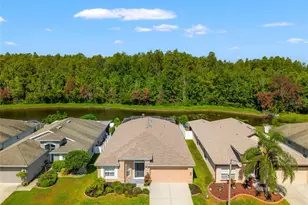 4433 Marchmont Blvd, Land O Lakes, FL 34638 - Photo 1