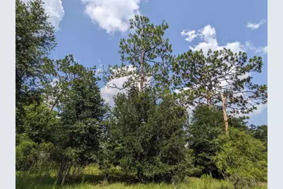 Se 37th Trail, Trenton, FL 32693 - Photo 1