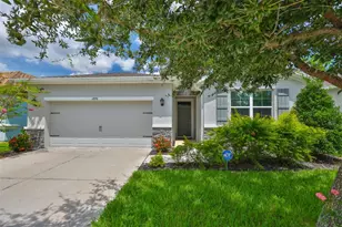 11890 Frost Aster Dr, Riverview, FL 33579 - Photo 1