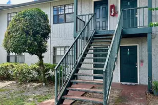 203 Pine Tulip Ct, Tampa, FL 33612 - Photo 1