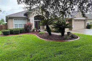22446 Eagles Watch Dr, Land O Lakes, FL 34639 - Photo 1