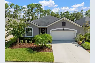 13223 Baby Belle Drive, Riverview, FL 33579 - Photo 1