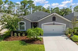 13223 Baby Belle Dr, Riverview, FL 33579 - Photo 1