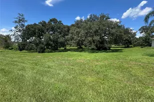 Lallemand Dr, Dade City, FL 33525 - Photo 1