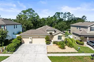 2559 Bartolo Dr, Land O Lakes, FL 34639 - Photo 1