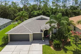 5438 Braddock Dr, Zephyrhills, FL 33541 - Photo 1