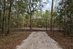 NE 127th Ct, Williston, FL 32696 - Photo 1