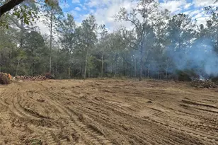 NE 127th Ct, Williston, FL 32696 - Photo 1