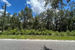 0 Malauka Radial Ln, Ocklawaha, FL 32179 - Photo 1